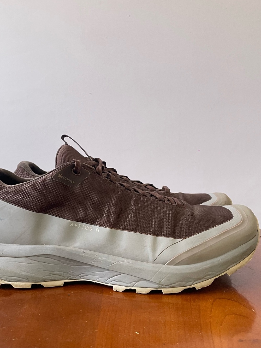 Arc'teryx Aerios FL 2 GTX Hiking Shoes | US 11